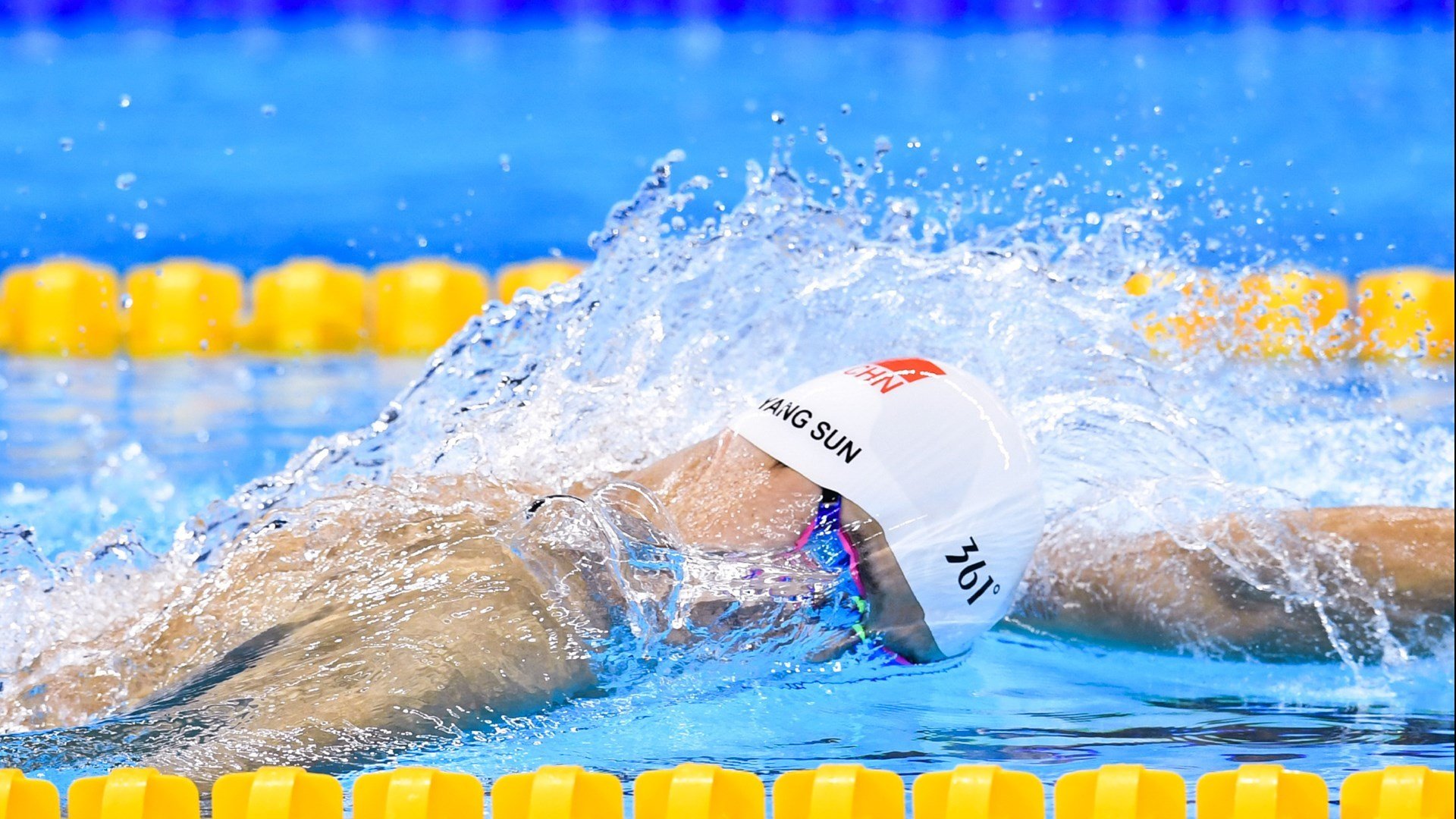 “冠军车手的秘密：训练、技艺与激情”，冠军车辆