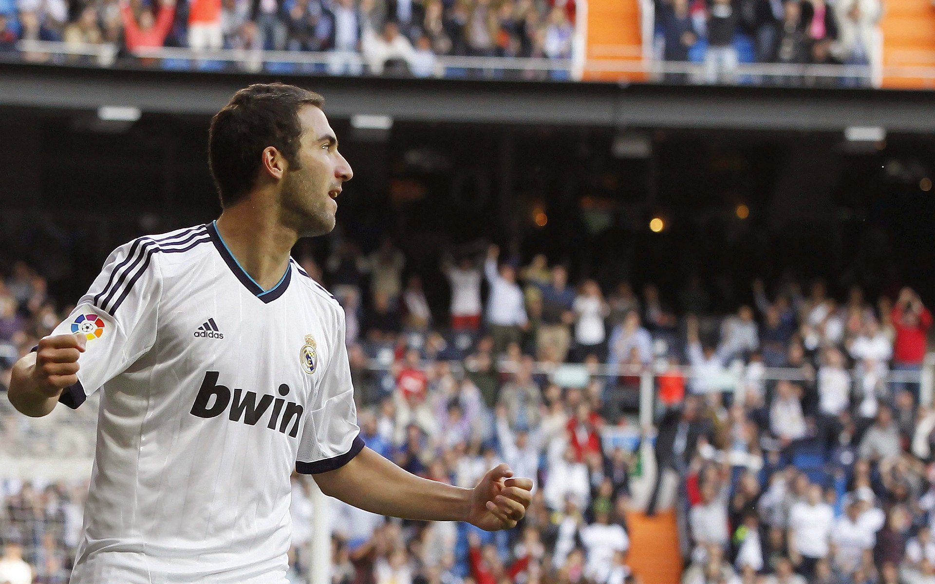 “逆境中的坚持：球队在困境中奋起故事”，逆境中的口号